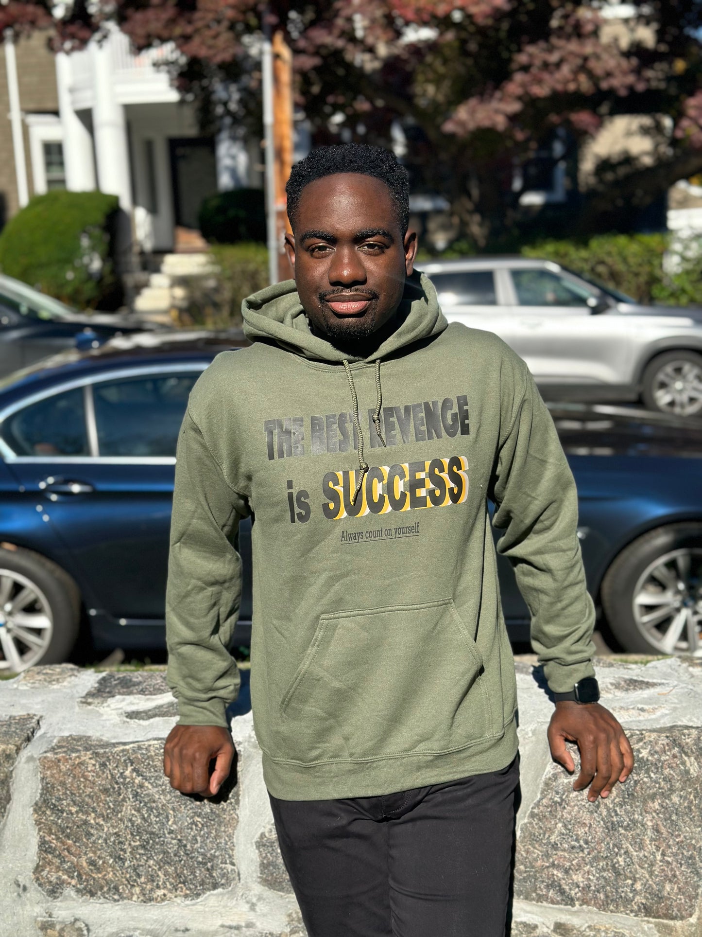 Best Revenge is Success Hoodie