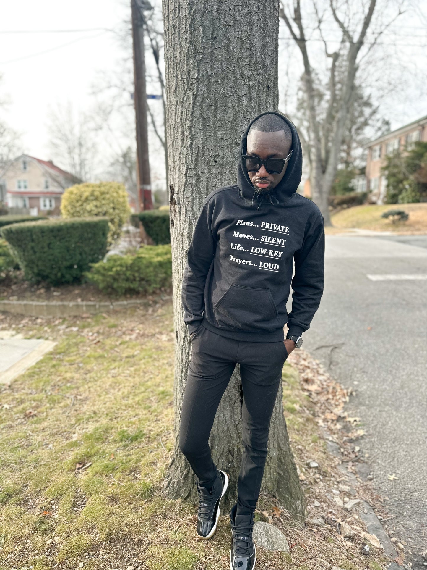 Plans... PRIVATE Hoodie