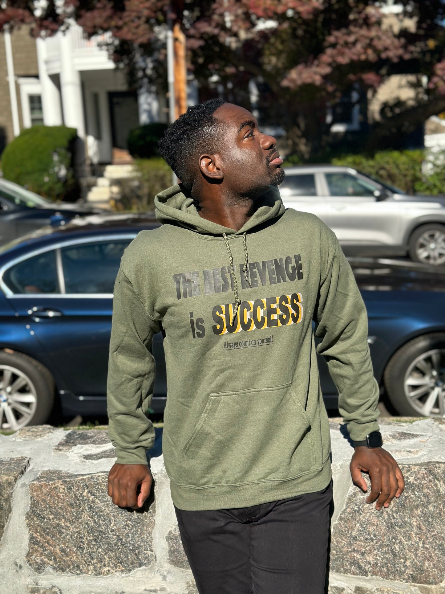 Best Revenge is Success Hoodie