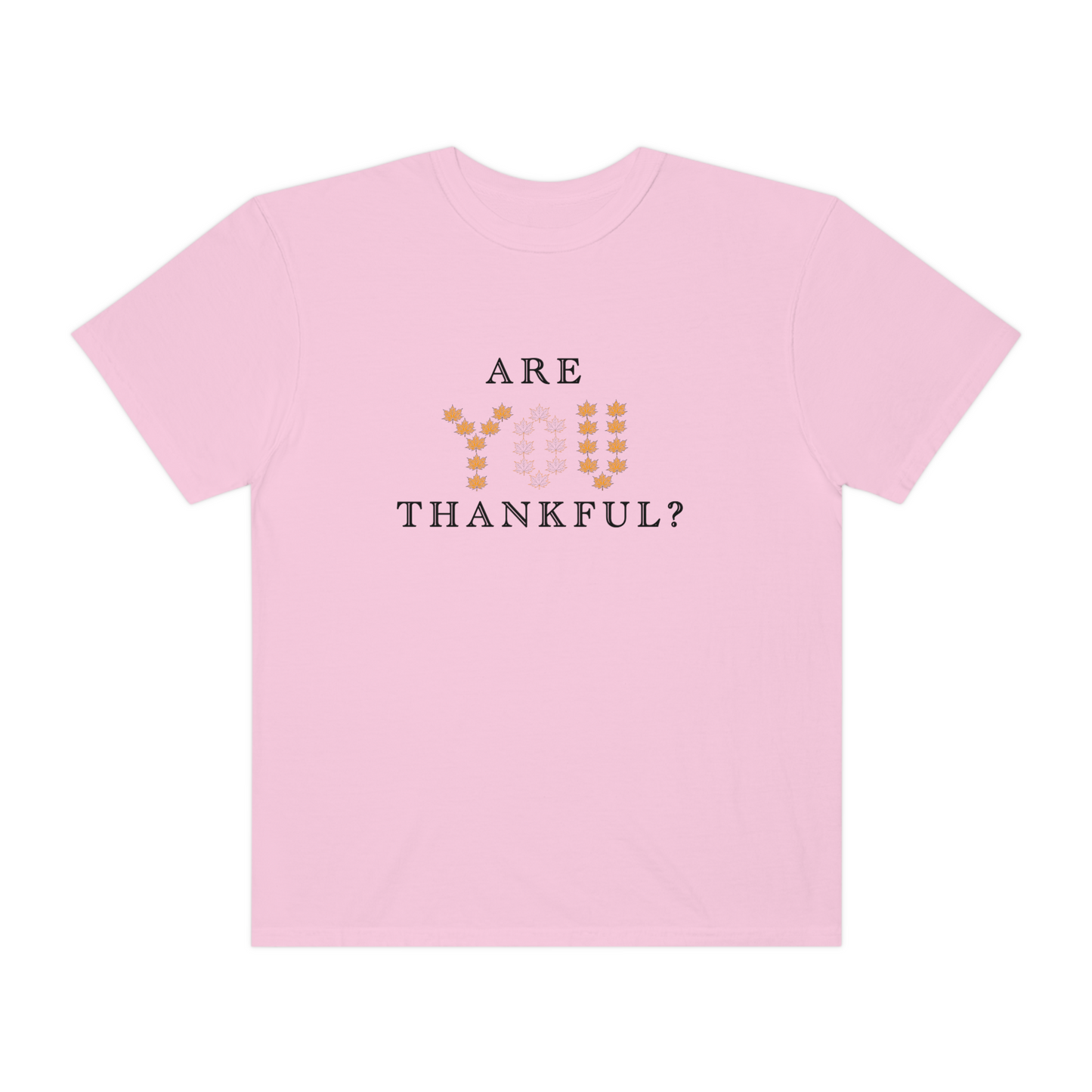 Are You Thankful? T-Shirt