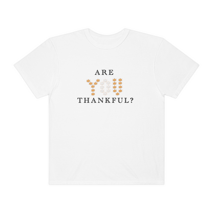 Are You Thankful? T-Shirt
